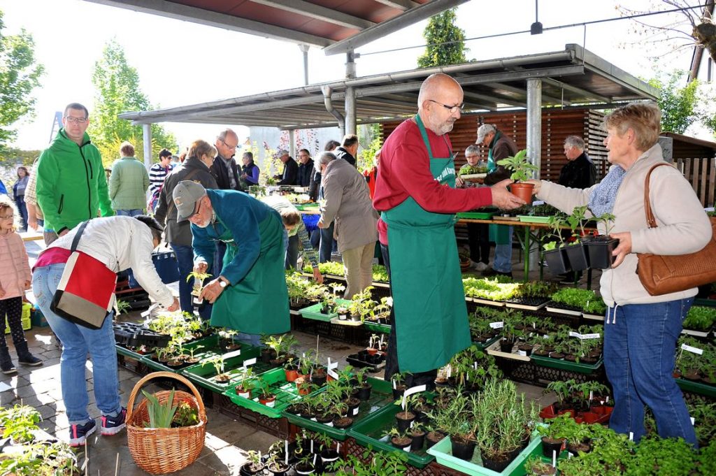 Obst und Gartenbauverein elz urbaner Garten OPflanzenbörse